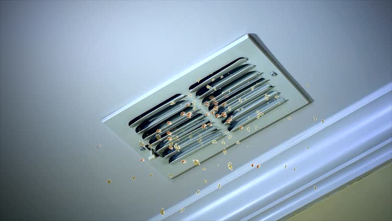 Best Commercial Air Duct Cleaning  in Stem, NC