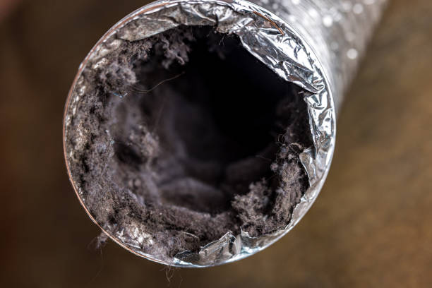 Best Duct Cleaning Specialists  in Stem, NC