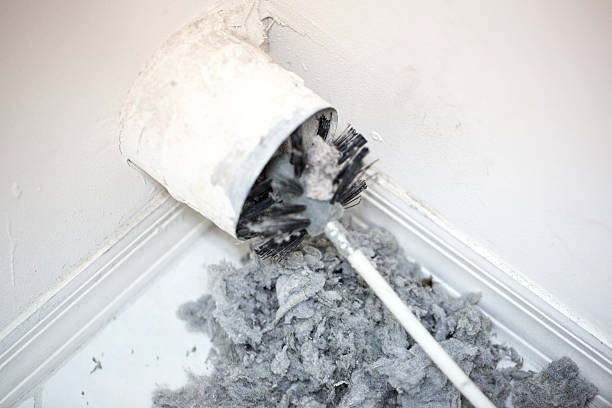 Best Affordable Air Duct Cleaning  in Stem, NC